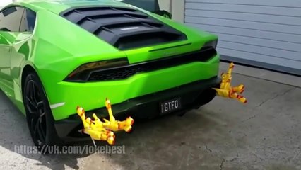 ЛУЧШИЕ ПРИКОЛЫ 2017 ЯНВАРЬ Самые смешные приколы за январь 2017 | Выпуск 19