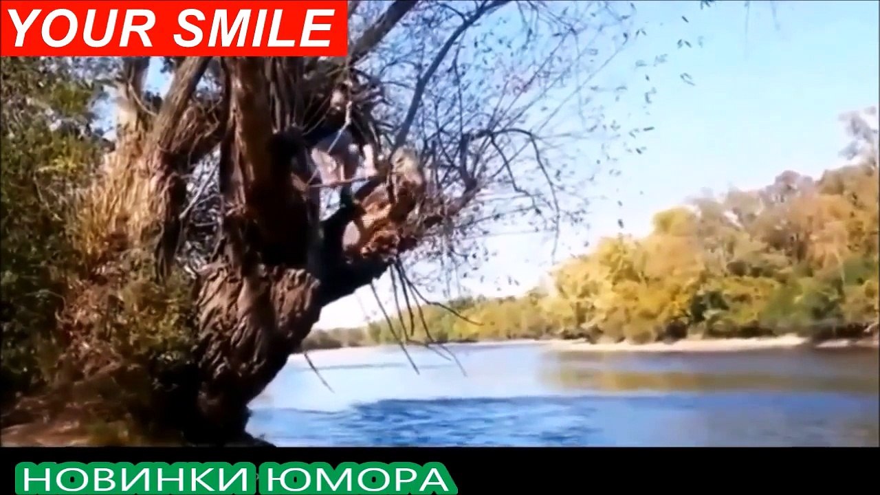 Самые Смешные Приколы 2016 Funny Videos Best Funny Ultimate Fails Compilation Funny Videos 2016