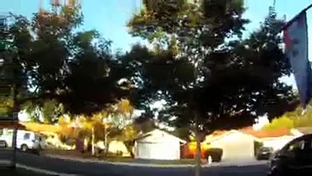 Мир глазами кота