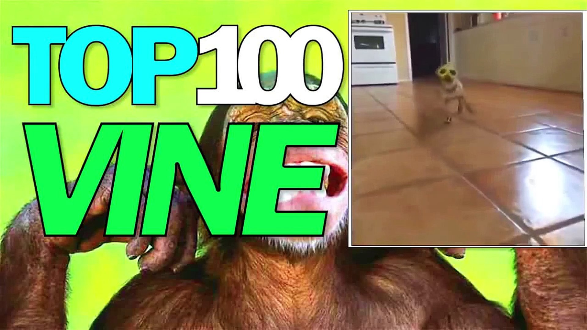 TOP 100 VINE С ЖИВОТНЫМИ