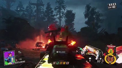 Rave In The Redwoods: World Record Attempt (40+) (20)