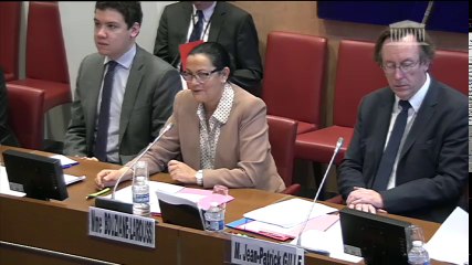 Présentation du rapport sur l'avenir de la Prévention spécialisée