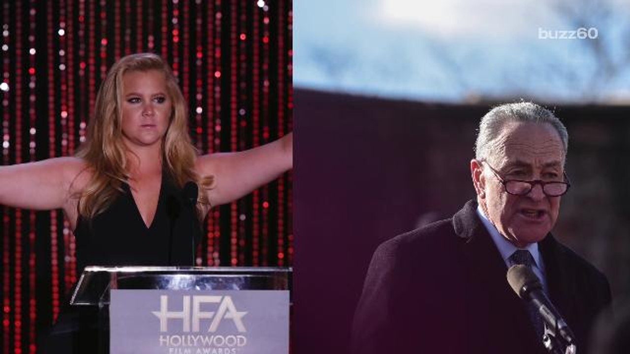 Amy Schumer Defends 'Fake Tears' Cousin Chuck Schumer in Epic Post