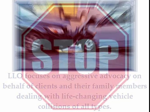 Dog Bites, Personal Injury, Car Accident Lawyer, Contact Levinson Law in Burien WA