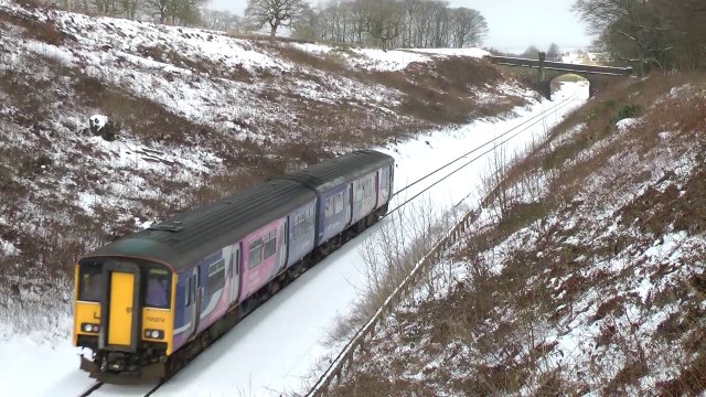 Trains! English Trains! American Trains! Tube Trains!