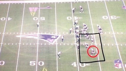 Ruben Ibeas  video Edelman bunch