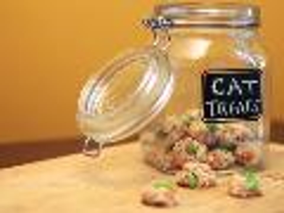 No-Bake Tuna Treats Your Cat Will Love