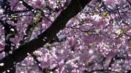 Ciudades en primavera