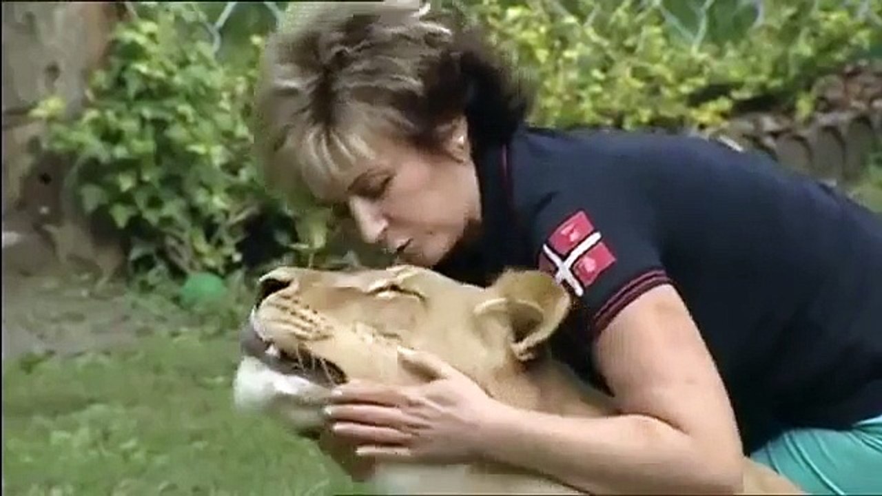 real tiger attack most dangerous
