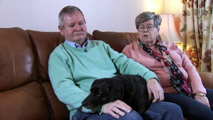 Gang behind horrifying puppy farm get suspended sentences