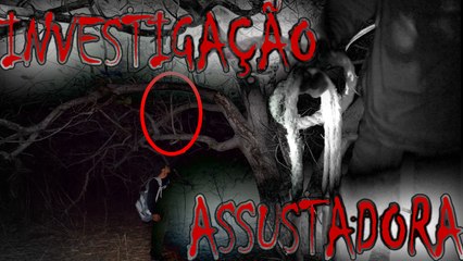 ÁRVORE DO ENFORCADO, INVESTIGAÇÃO ASSUSTADORA