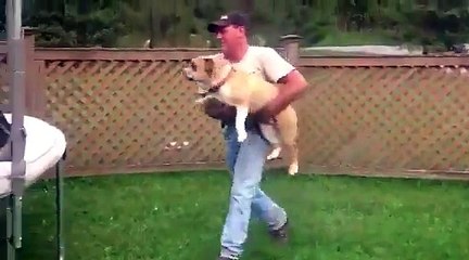 Trambolinde zıplayan köpek izlenme rekorları kırıyor!