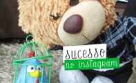 Como fazer sucesso no Instagram