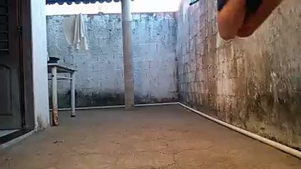 Voando ao redor da minha casa