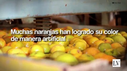 Datos científicos sobre el mundo