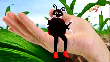 تيلا تولا الدعسوقة - براعم تيلا تولا الموسم الثاني baraem  tv