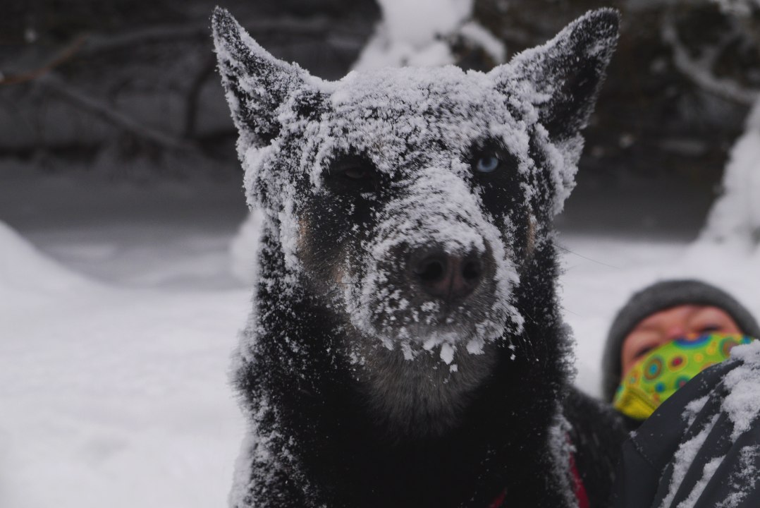 Kendy John Kretzschmar singt Anton Günther 'Bild Dir nischt ei'  [Official KKJ-602-01]
