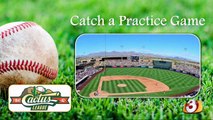 Cactus League Spring Training Tips // Christina Deloma