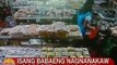 UB: Isang babaeng nagnanakaw ng grocery items sa Pagadian City, huli sa CCTV