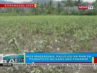 BP: Mga magsasaka, nalulugi na raw sa pagkatuloy ng kanilang pananim