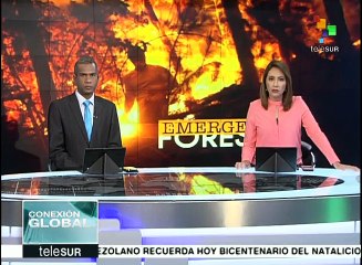 Chile: gobierno redoblará esfuerzos para combatir incendios forestales