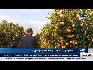 فلاحة  توسع الإسمنت يهدد إنتاج الحمضيات بسهول متيجة
