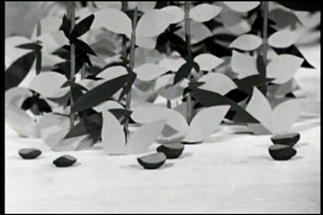The Magic Roundabout 05   Jumping Beans