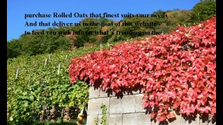 Best Rolled Oats reviews