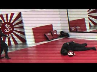 Defensa personal, conjunto de técnicas