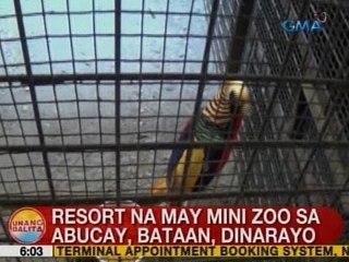 UB: Resort na may mini zoo sa Abucay, Bataan, dinarayo
