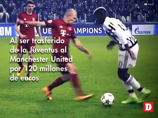 Pogba el pulpo más caro de la historia