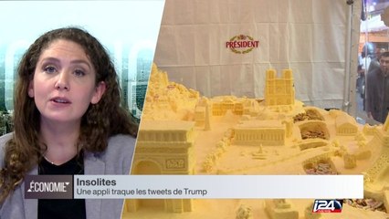 Insolites : une appli pour suivre au plus près les tweets de Donald Trump