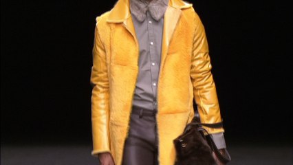 VM La Sibèria desfilada gener 2017