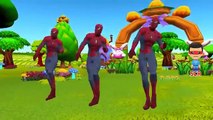 Spiderman Children Cartoon Nursery Rhymes Collection | Spiderman Nursery Rhymes For Children