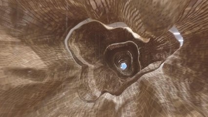 Davos for Beginners: Katie Martin Explains the World Economic Forum 🌍