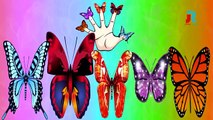 Butterfly Finger Family Rhymes for Children | Dady Finger Butterfly Song | Color Butterfly Rhyme