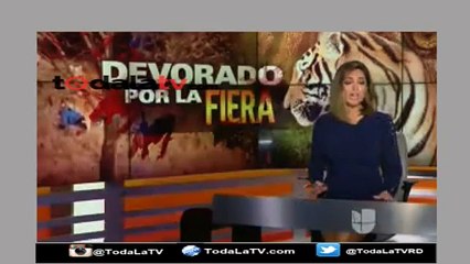 No pudo escapar del león-Primer Impacto-Video