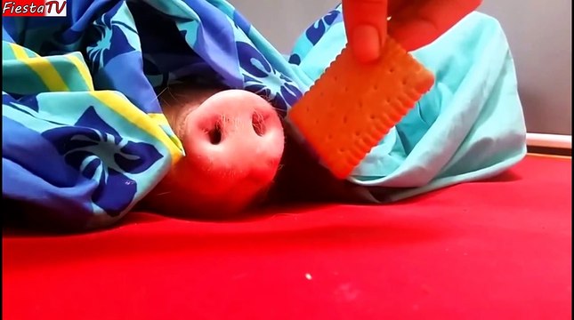 ПРИКОЛЫ ЗА НЕДЕЛЮ ЛУЧШИЕ ПРИКОЛЫ