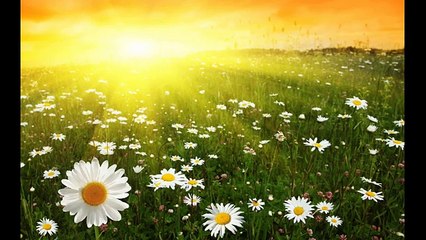 Heavenletter 5913 Published on February 1, 2017 Channeled by lucky jutt