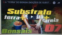 A TERRA DO BONSAI (NOÇÕES DE SUBSTRATO) - BonsaiCurso #05