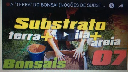 BonsaiCurso #05: Tudo Sobre o Substrato e a Terra do Seu Bonsaí 🌱