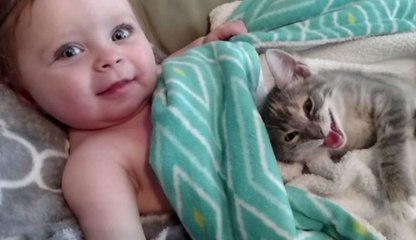 A Amizade entre o Bebê e o Gato Filhote, a Mãe filmou enquanto eles estavam Acordando