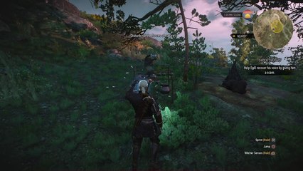 The Witcher 3: Wild Hunt – Complete Edition_20170131214245