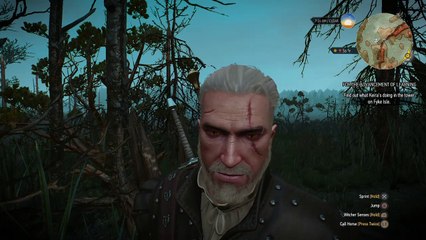The Witcher 3: Wild Hunt – Complete Edition_20170131210619