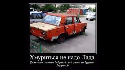 Смешные фото приколы #7