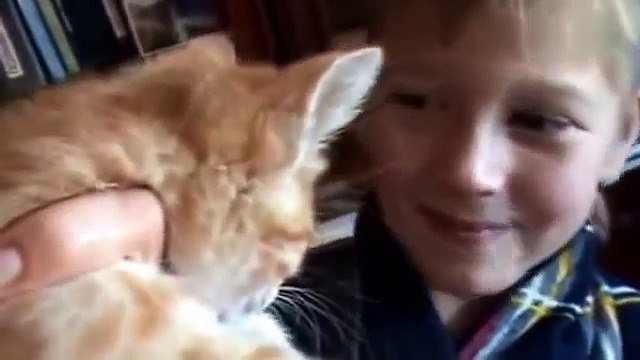 Улетный прикол Коты разговаривают