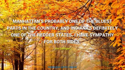 Jim Gaffigan Quotes #2