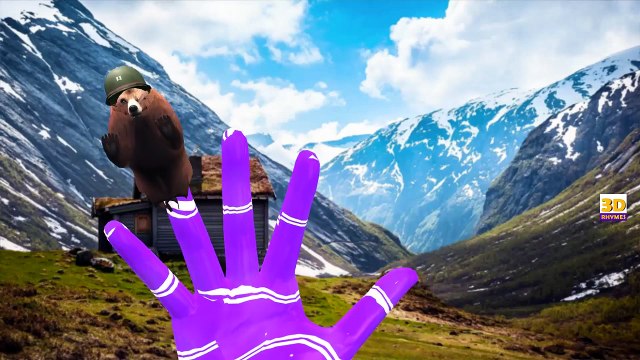 Животные Становятся Семейные Палец Пальца Скелета Семейные Скелет Семейная Коллекция Палец