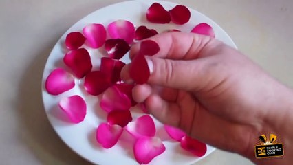 VALENTINES DAY CANDIED ROSE PETALS