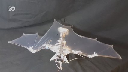 Yarasa robot üretildi